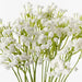 Babys Breath Bush White 39cm - Pack of 12