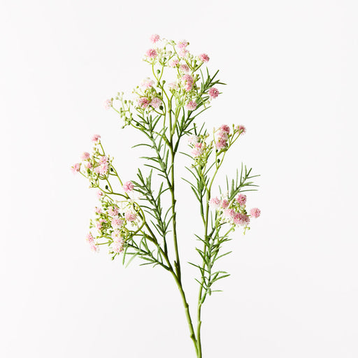 Babys Breath Spray Light Pink 70cm - Pack of 24