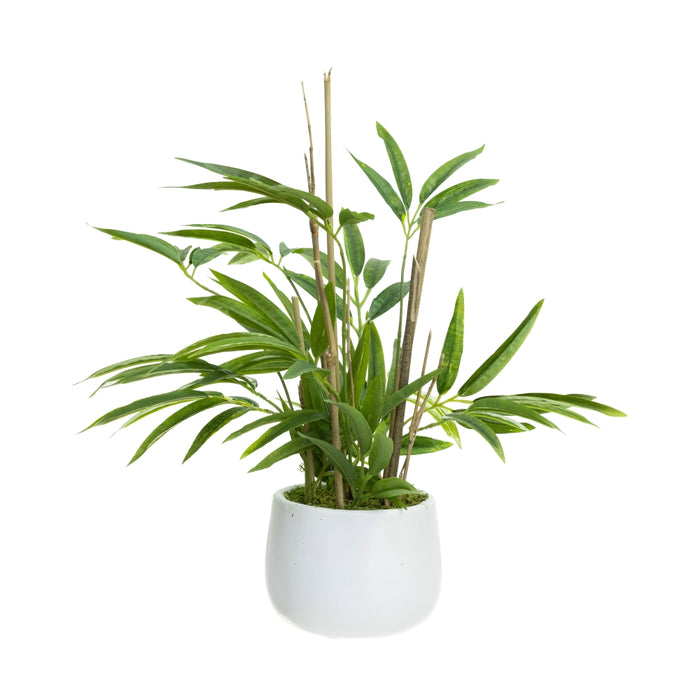 Bamboo In Pot 38cm Set of 2