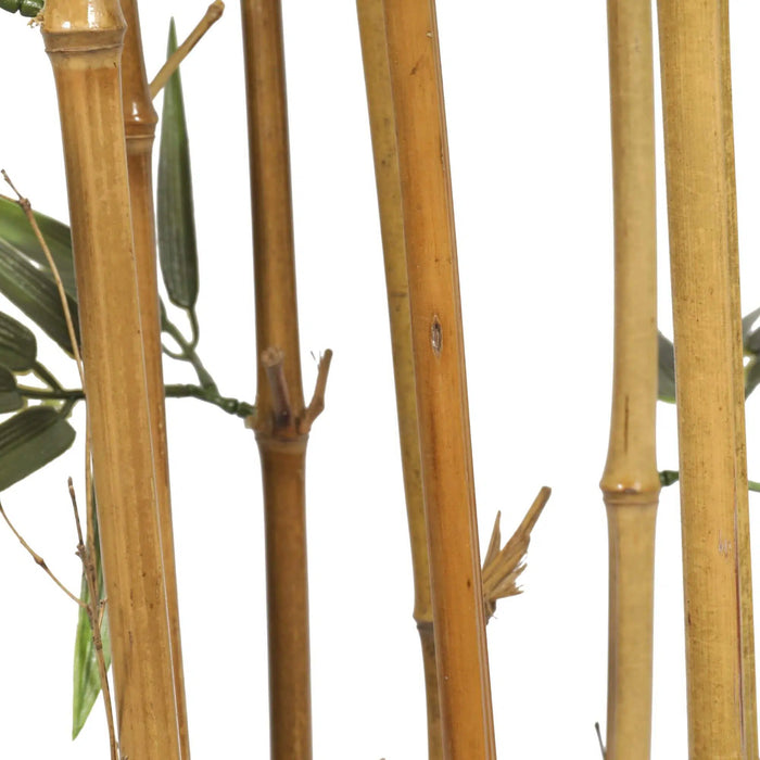 Bamboo Tree Natural Cane UV Resistant 150cm