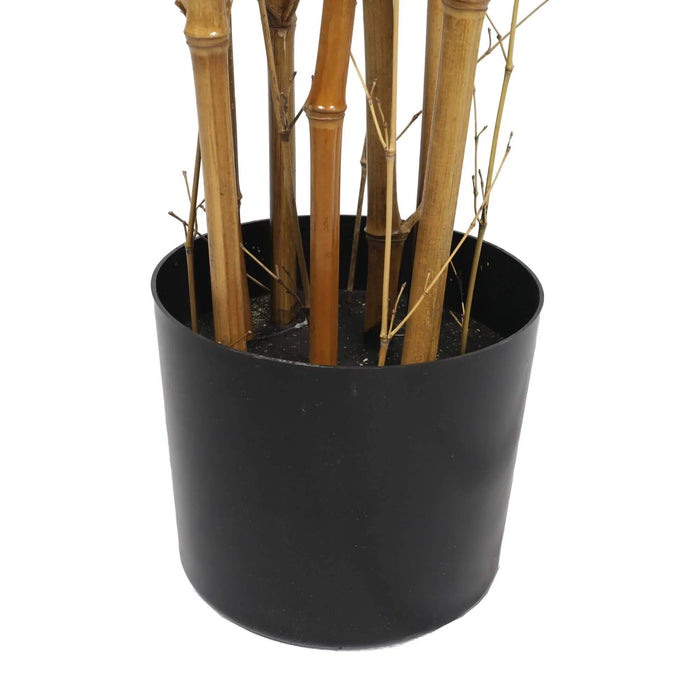 Bamboo Tree Natural Cane UV Resistant 150cm