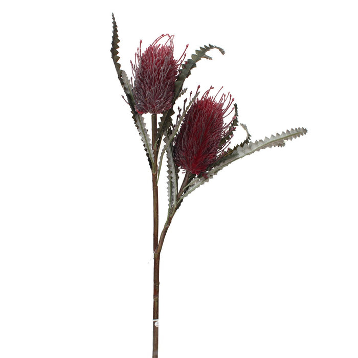 Banksia Spray 80cm Burgundy Red Set of 6