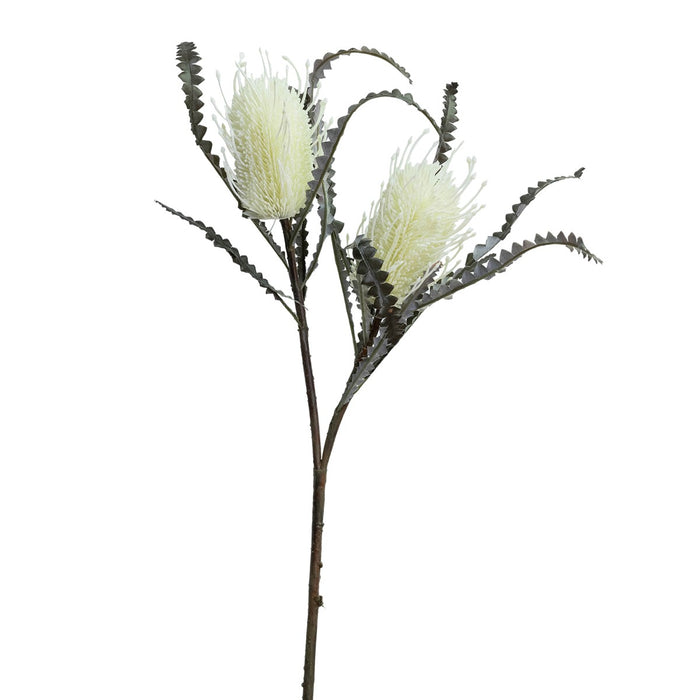 Banksia Spray 80cm White Set of 6