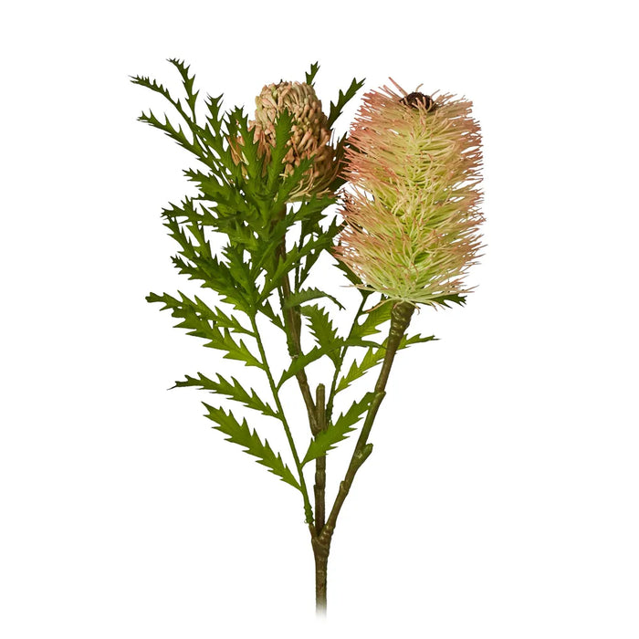 Banksia Spray With Bud and Leaf 80cm Pink Pack of 6
