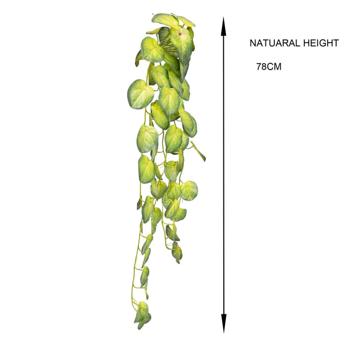 Begonia Hanging Bush 80cm Pack of 6