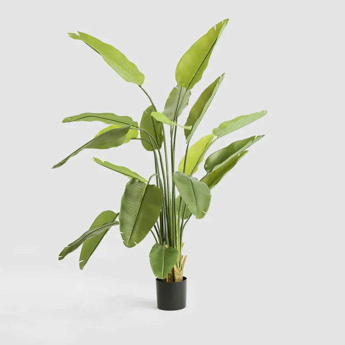 Bird of Paradise Real Touch 180cm