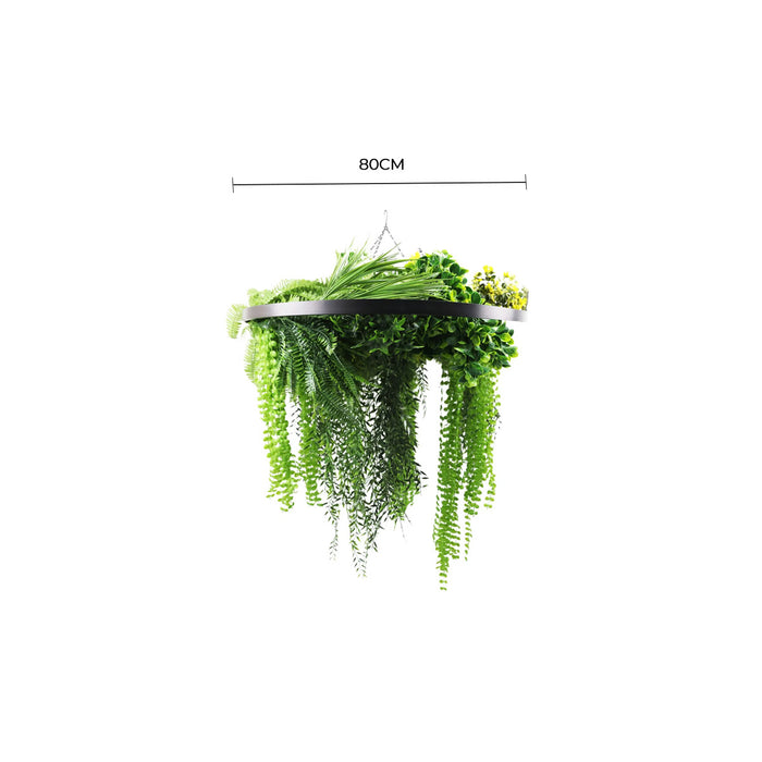 Black Framed Roof Hanging Disc with Draping Ferns Plants 80cm - FLORA DESIGNS