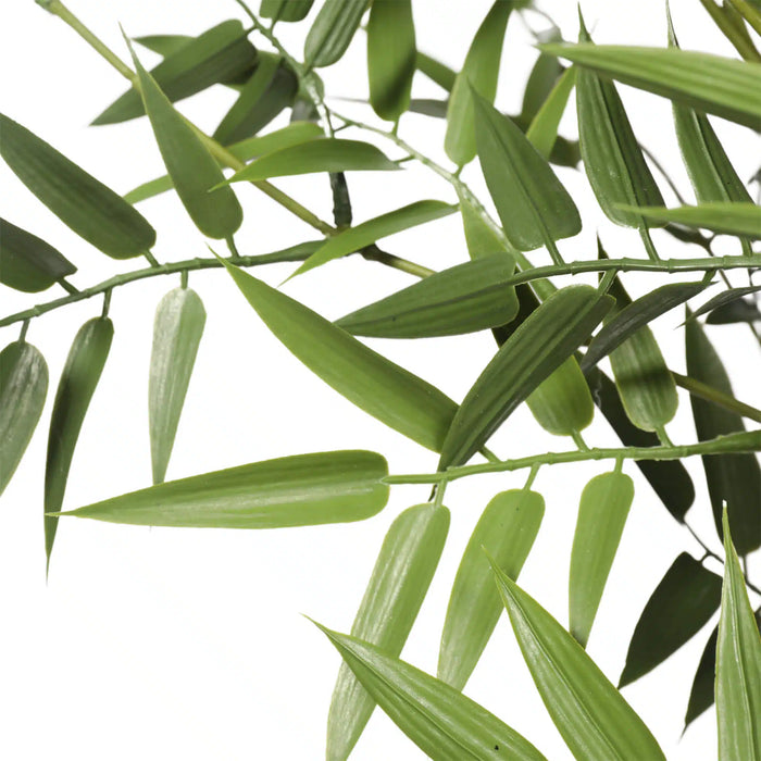 Black Bamboo Tree UV Resistant 180cm