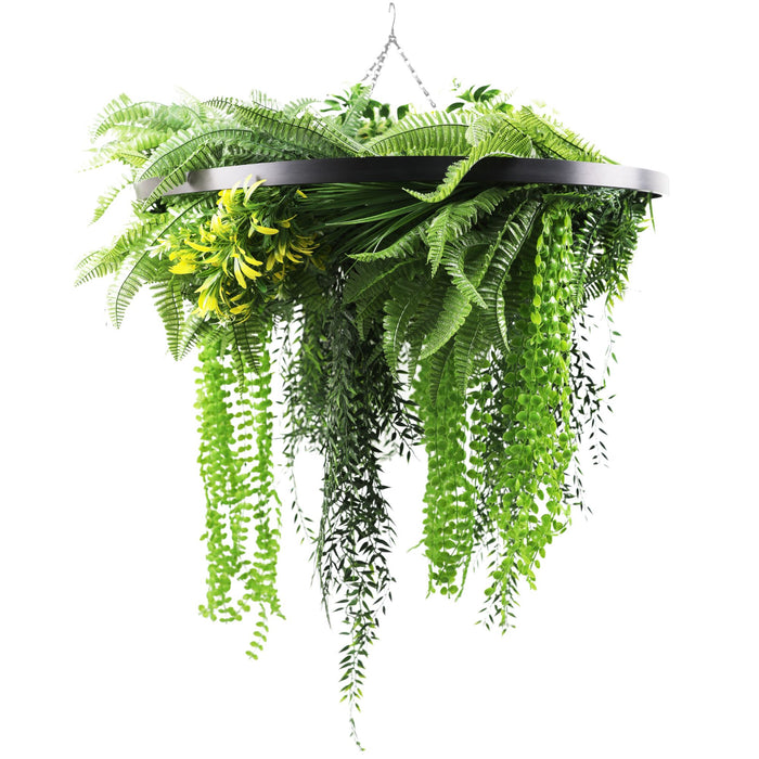 Black Framed Roof Hanging Disc with Draping Ferns Plants 80cm - FLORA DESIGNS