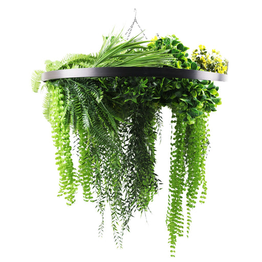 Black Framed Roof Hanging Disc with Draping Ferns Plants 80cm - FLORA DESIGNS