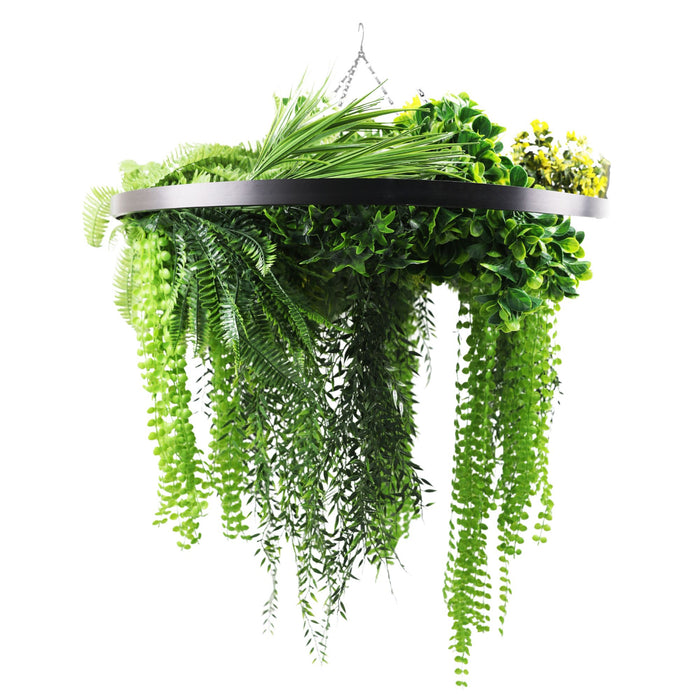 Black Framed Roof Hanging Disc with Draping Ferns Plants 80cm - FLORA DESIGNS