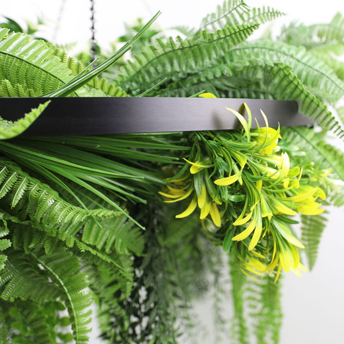 Black Framed Roof Hanging Disc with Draping Ferns Plants 80cm - FLORA DESIGNS