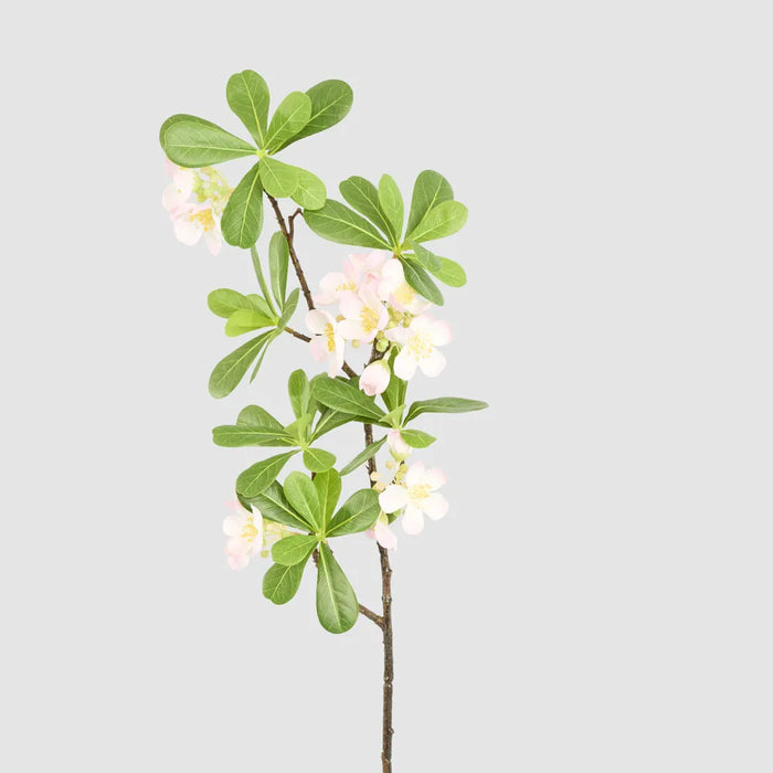 Blossom Flower Leafy Spray Pink 75cm Pack of 12