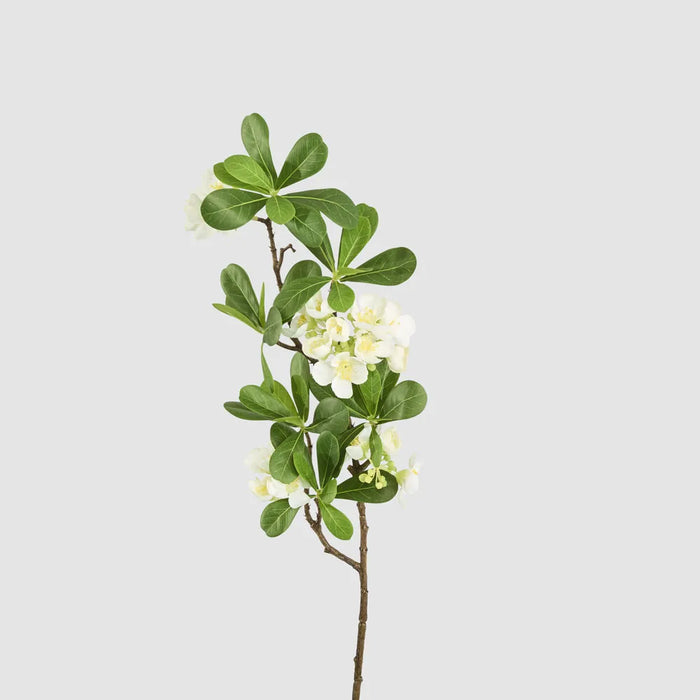 Blossom Flower Leafy Spray White 75cm Pack of 12