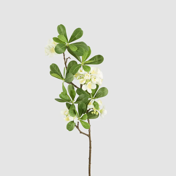 Blossom Flower Leafy Spray White 75cm Pack of 12