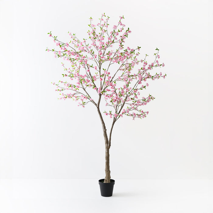 Blossom Tree Pink 300cm