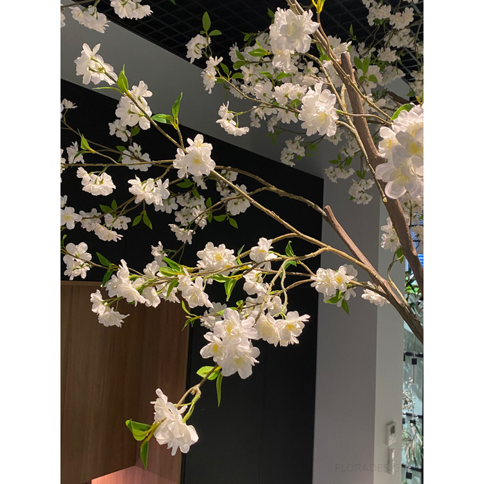 Blossom Tree White 300cm