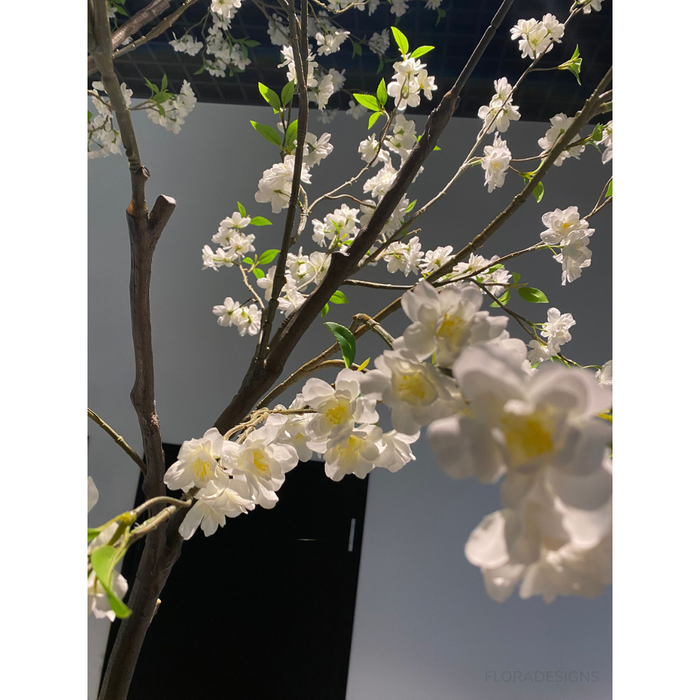 Blossom Tree White 300cm