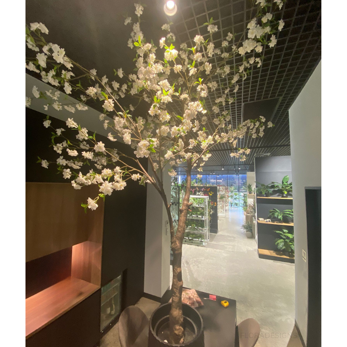 Blossom Tree White 300cm
