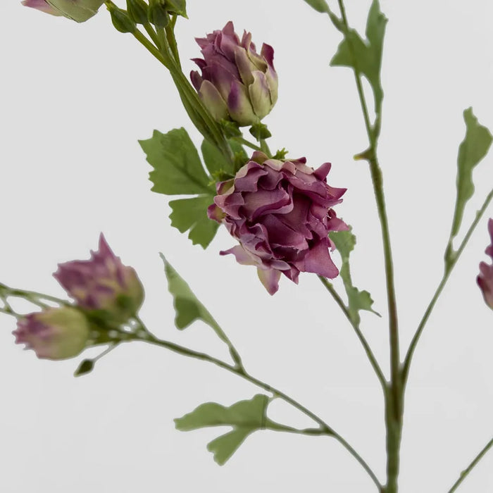 Blushing Bride Spray 80cm Purple Pack of 12