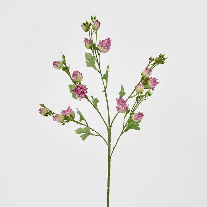 Blushing Bride Spray 80cm Purple Pack of 12