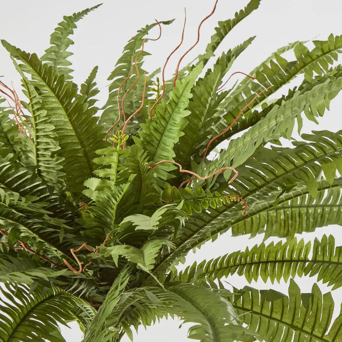 Boston Fern Bush Green 100cm Pack of 6