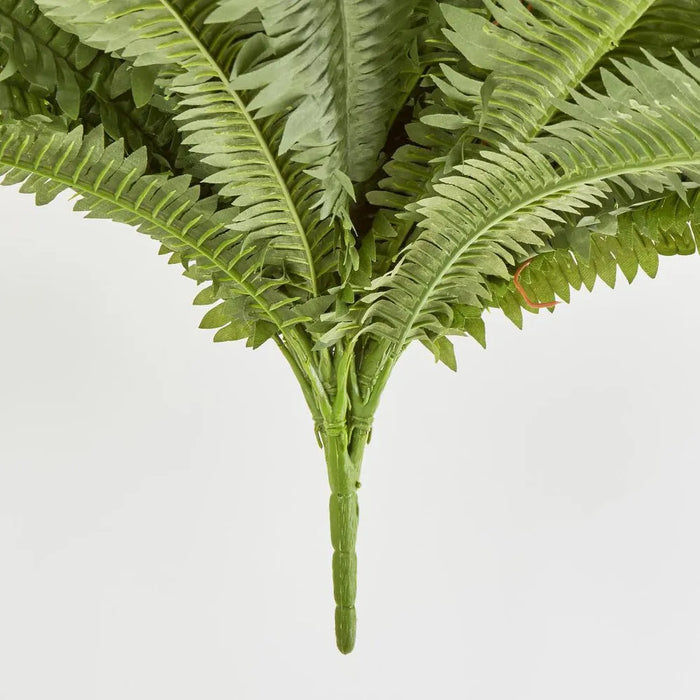 Boston Fern Bush Green 100cm Pack of 6