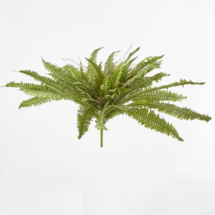 Boston Fern Bush Green 100cm Pack of 6