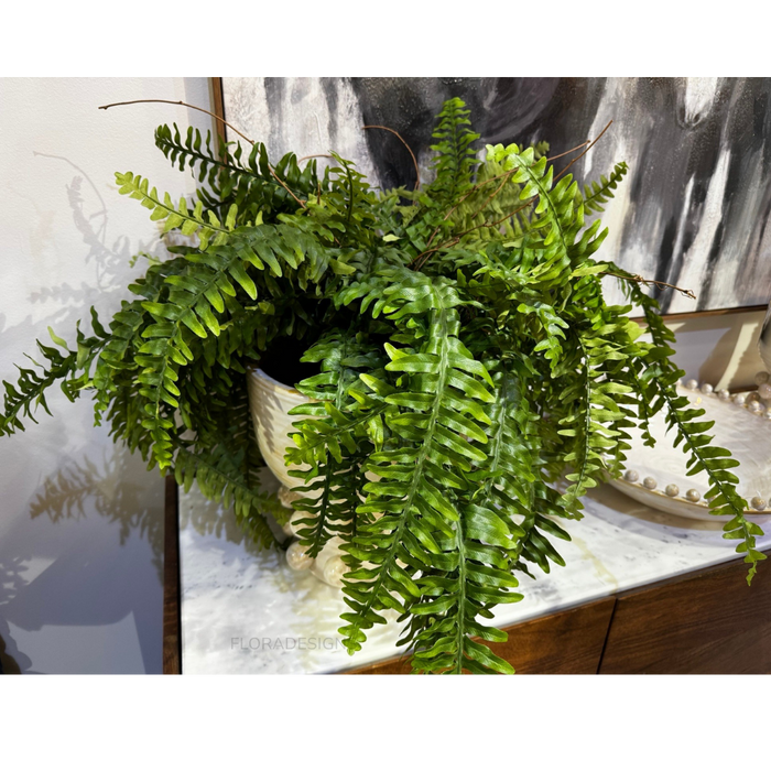 Boston Fern Plant 80cm