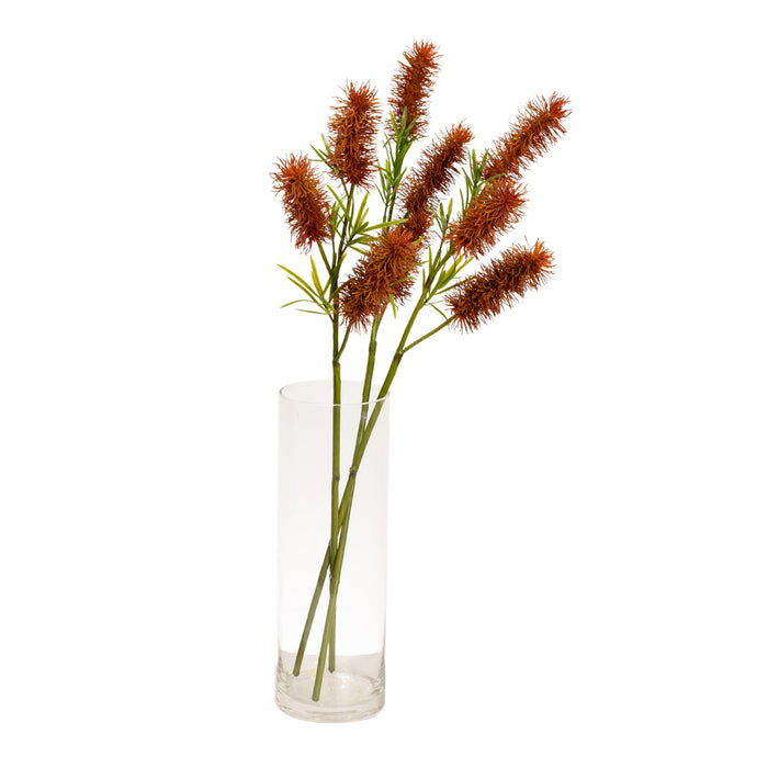 Bottle Brush Spray 60cm Brown Set of 12