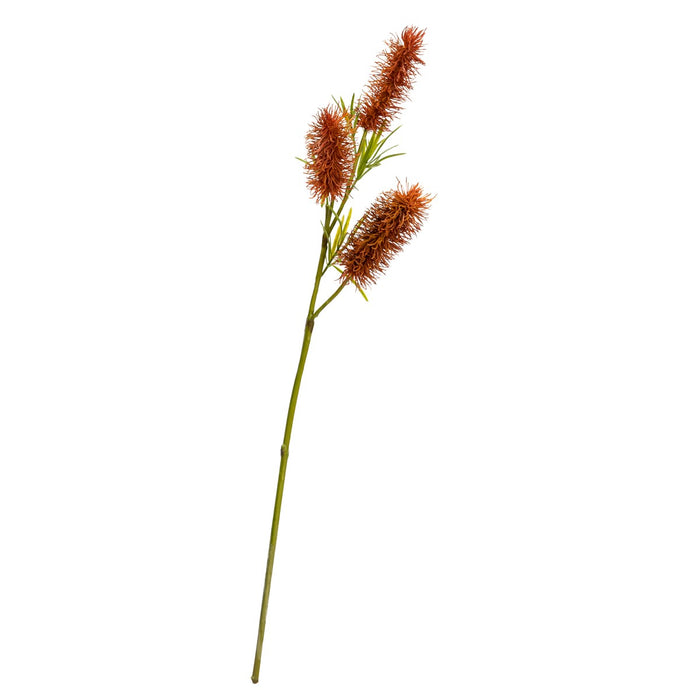 Bottle Brush Spray 60cm Brown Set of 12