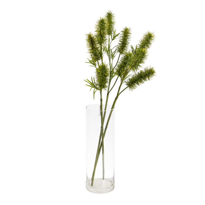 Bottle Brush Spray 60cm Green Set of 12