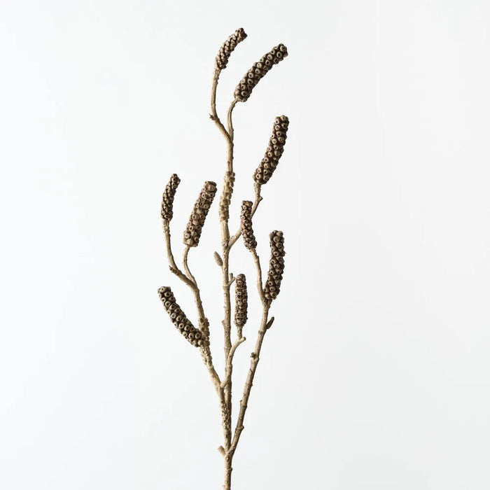 Bottlebrush Pod Spray 88cm Natural- Pack of 12