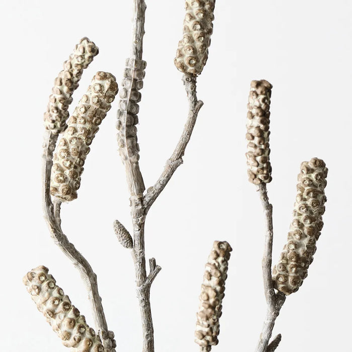 Bottlebrush Pod Spray 88cm Sand Wash- Pack of 12