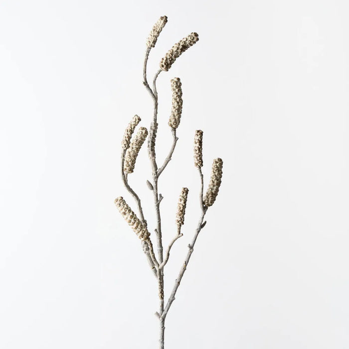 Bottlebrush Pod Spray 88cm Sand Wash- Pack of 12
