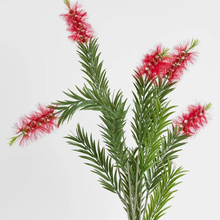 Bottlebrush Spray Red 100cm Pack of 24