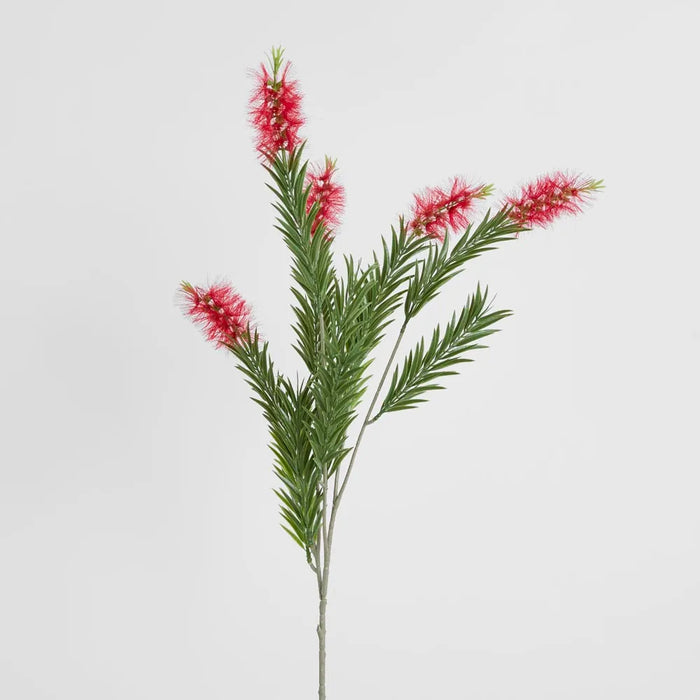 Bottlebrush Spray Red 100cm Pack of 24