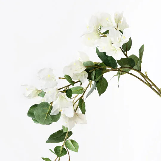 Bougainvillea Hanging Spray White 110cm - Pack of 6