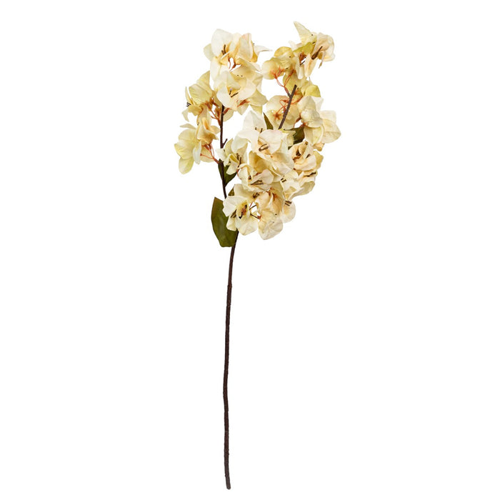 Bougainvillea Spray 70cm Cream Set of 12