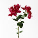 Bougainvillea Spray Fuschia 84cm - Pack of 12