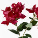 Bougainvillea Spray Fuschia 84cm - Pack of 12