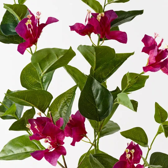 Bougainvillea Spray Fuschia 86cm - Pack of 12