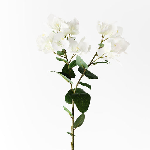 Bougainvillea Spray White 84cm - Pack of 12