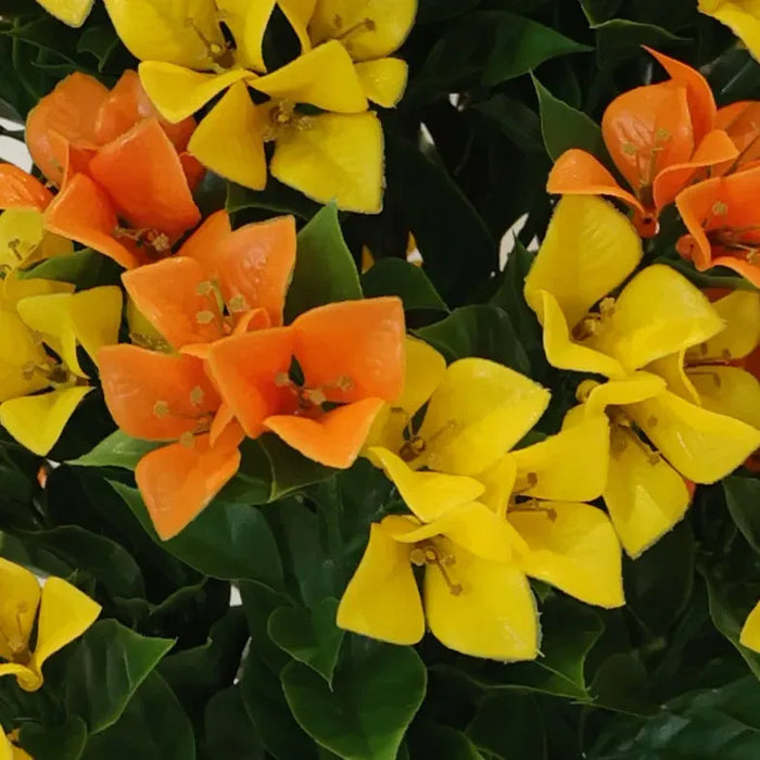 Bougainvillea Tree Yellow and Orange UV Resistant 90cm