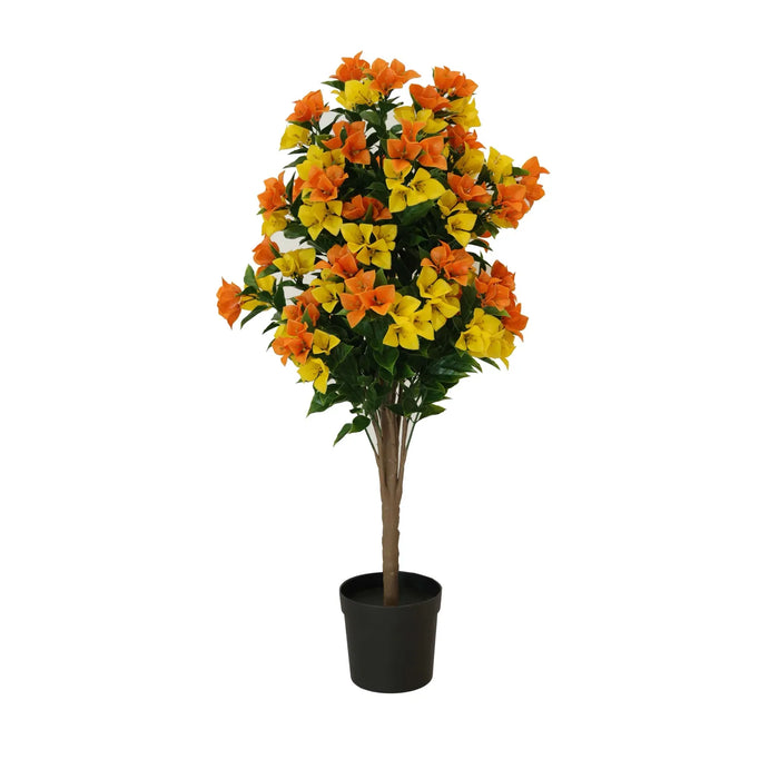 Bougainvillea Tree Yellow and Orange UV Resistant 90cm