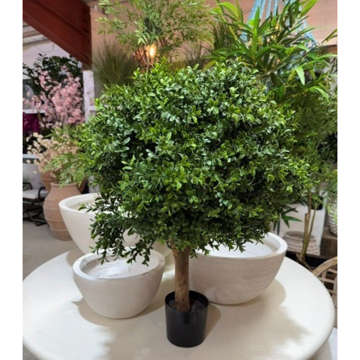 Boxwood Ball Topiary Tree 75cm