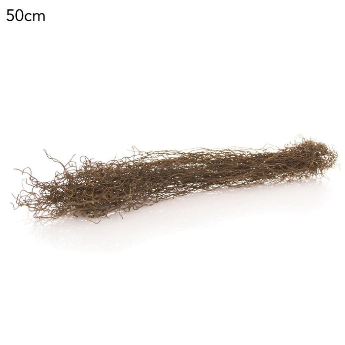 Bramble Vine Brown 50cm Pack of 12