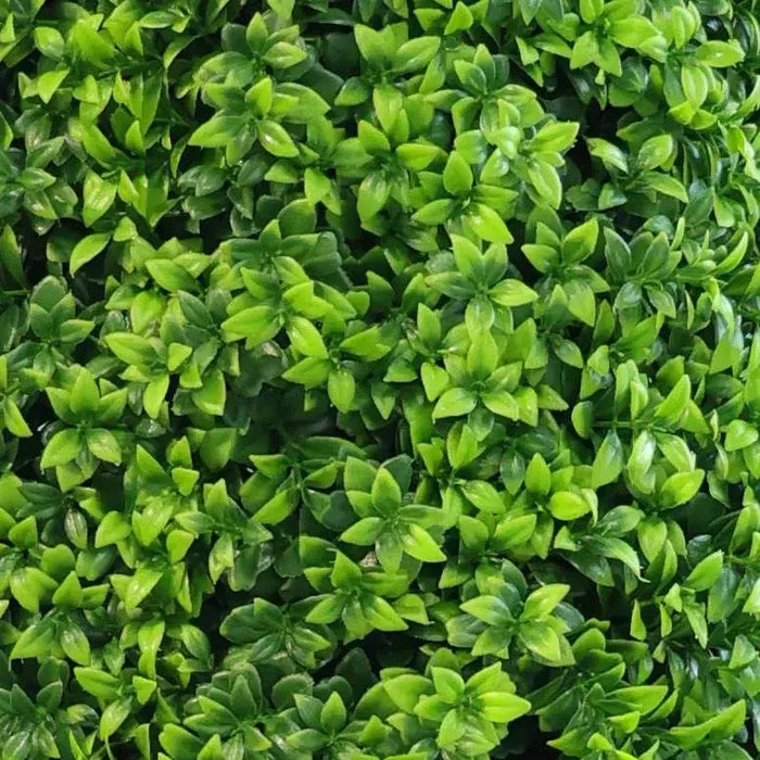 Bright Buxus Tree UV Resistant 120cm