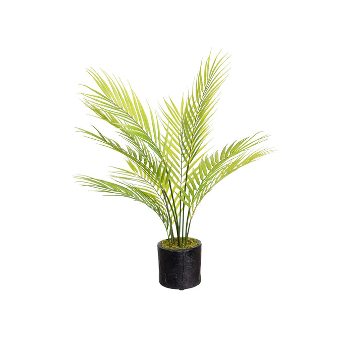 Butterfly Palm Tree 61cm Set of 2