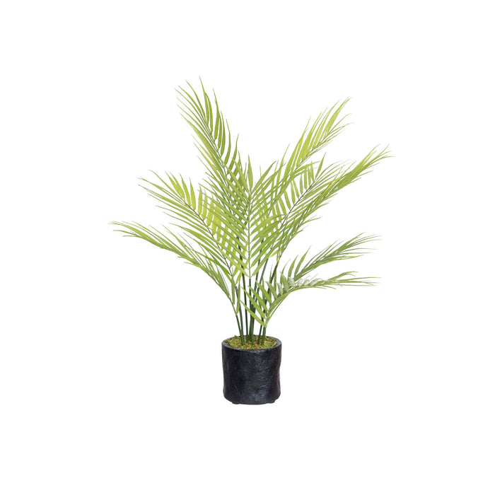 Butterfly Palm Tree 61cm Set of 2